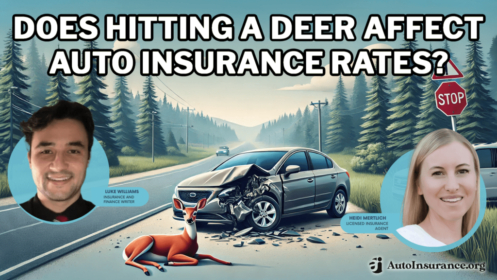 Does Hitting A Deer Raise Your Insurance Progressive Does hitting a deer affect auto insurance rates? | AutoInsurance.org