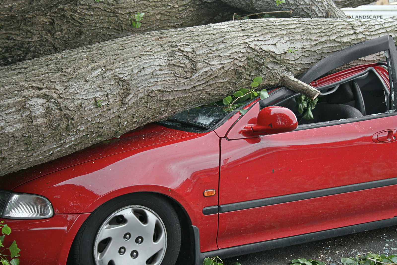 What is a comprehensive claim for auto insurance?