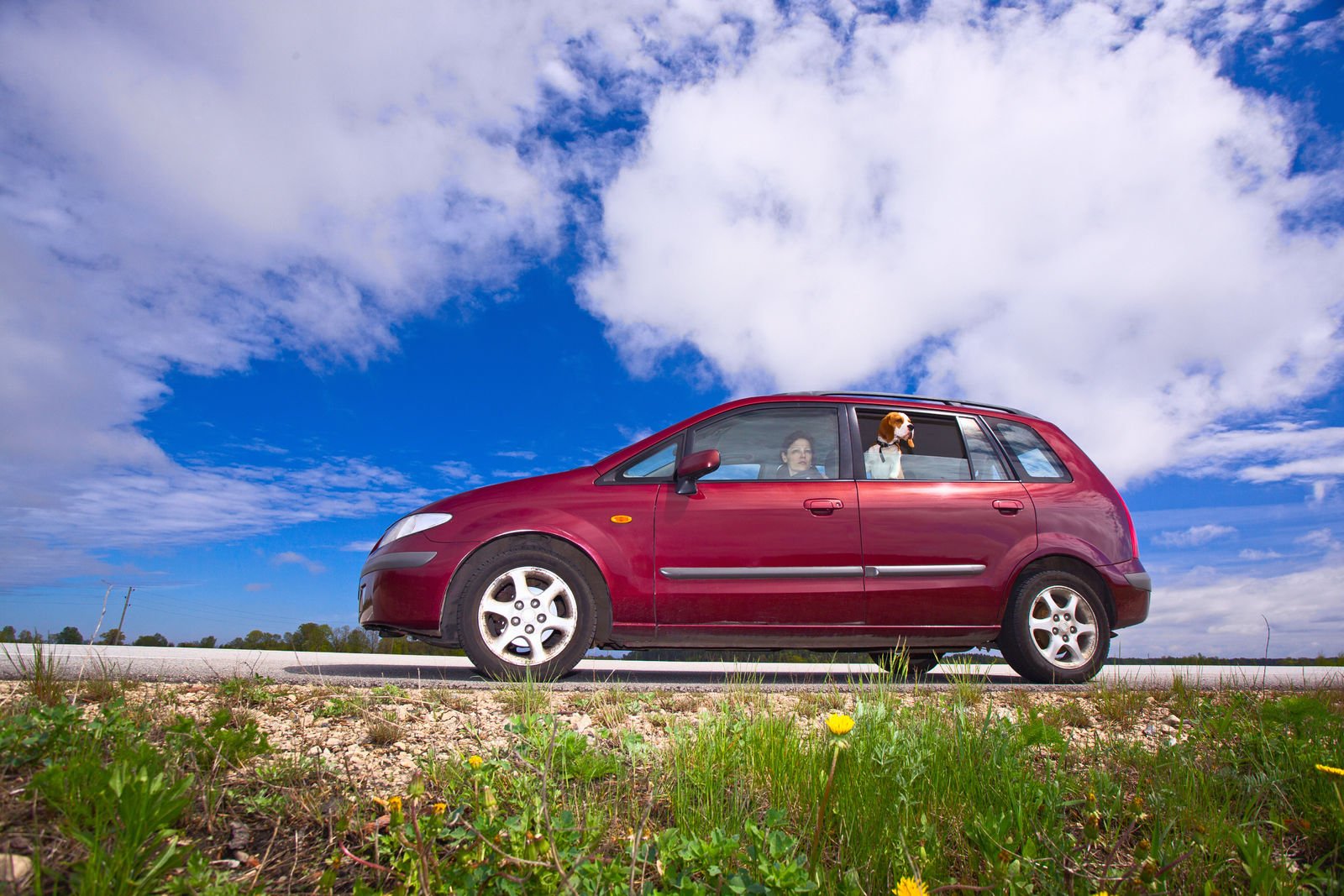 Does the price of your car affect your insurance rate?