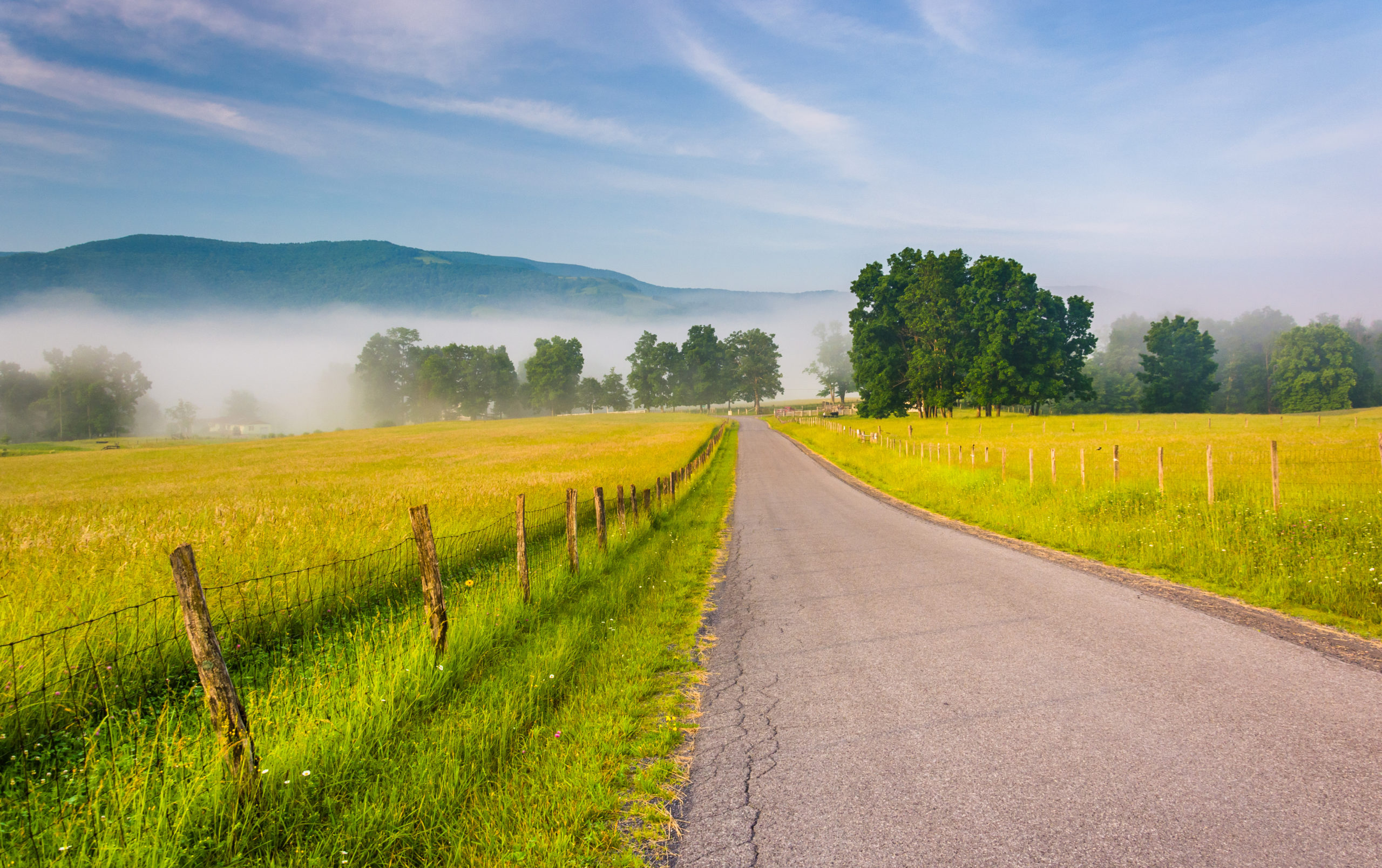 Most Dangerous and Safest States for Drivers (2024)