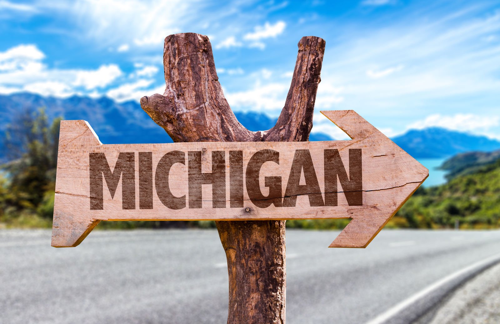 What are state minimums for car insurance in Michigan?
