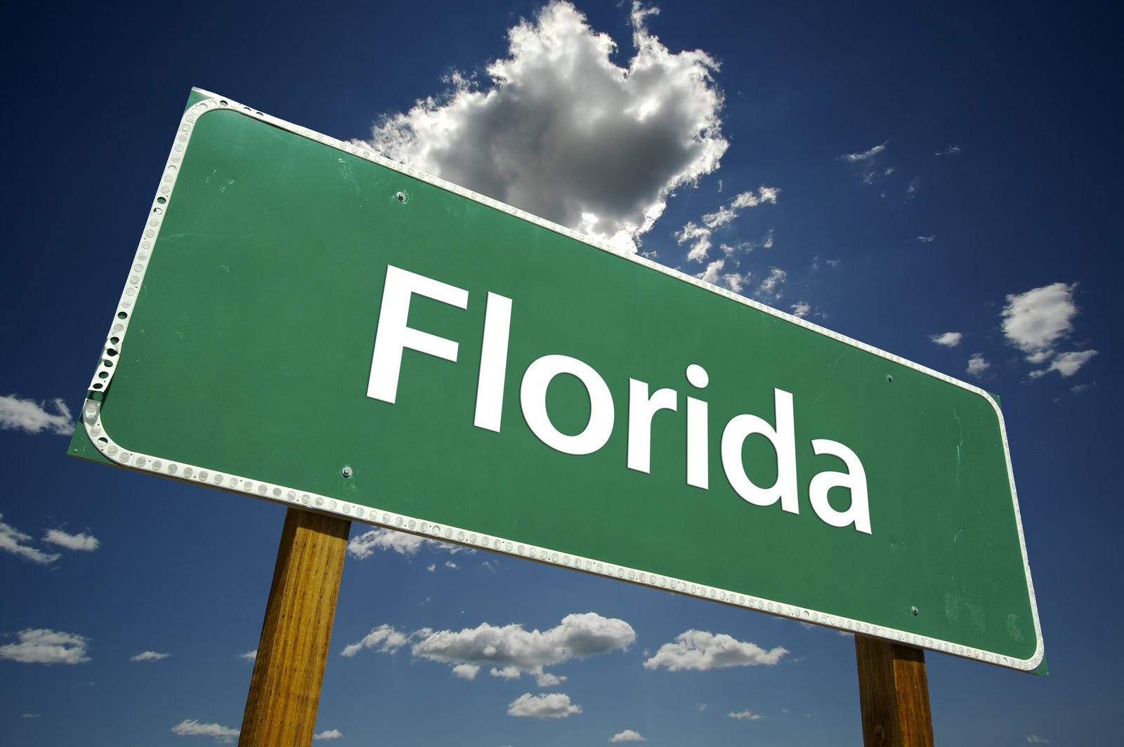 Who governs Florida auto insurance companies?