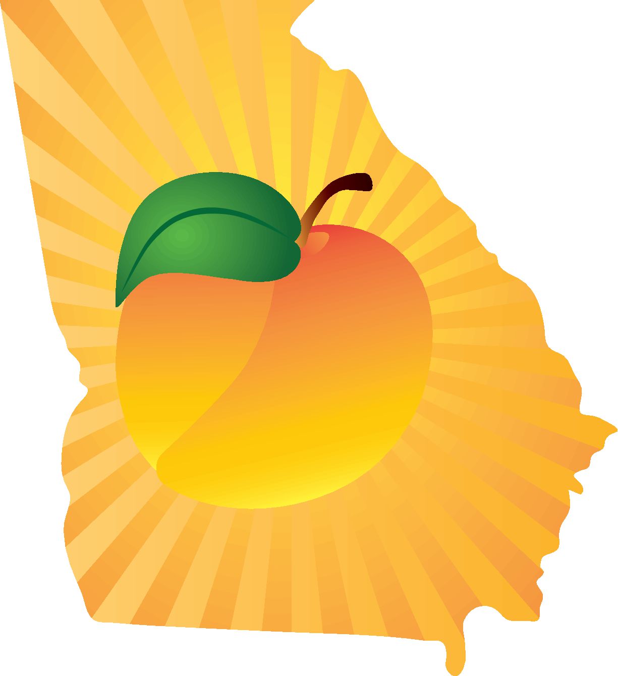 Auto Insurance Coverage Requirements