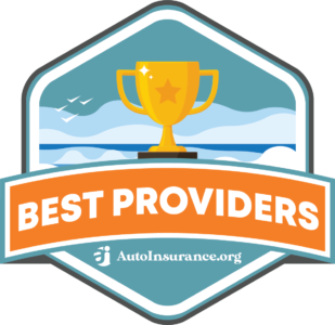 Best Providers Badge