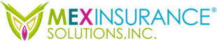 Mexico Ins Services: Best Auto Insurance When Traveling to Mexico
