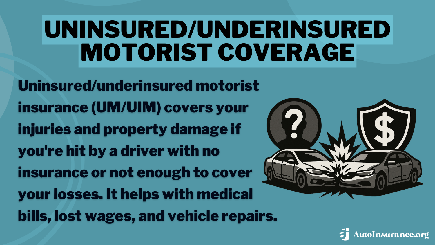 UM/UIM Motorist Insurance Definition Card: Best Auto Insurance for Immigrants