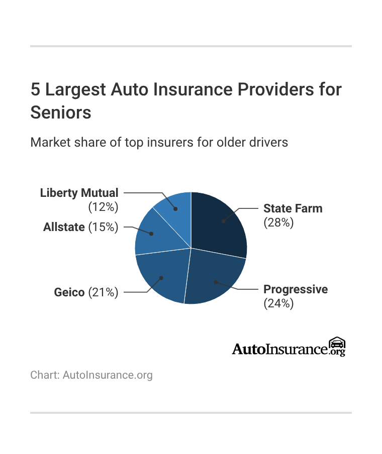 5 Largest Auto Insurance Providers for Seniors 5 Largest Auto Insurance Providers for Seniors