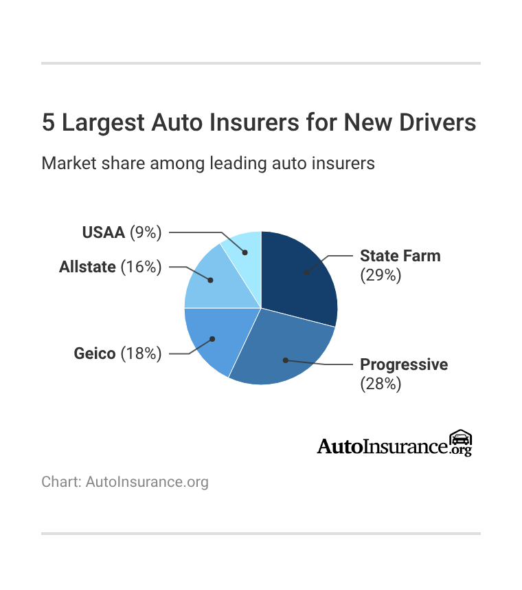 <h3>5 Largest Auto Insurers for New Drivers</h3> 